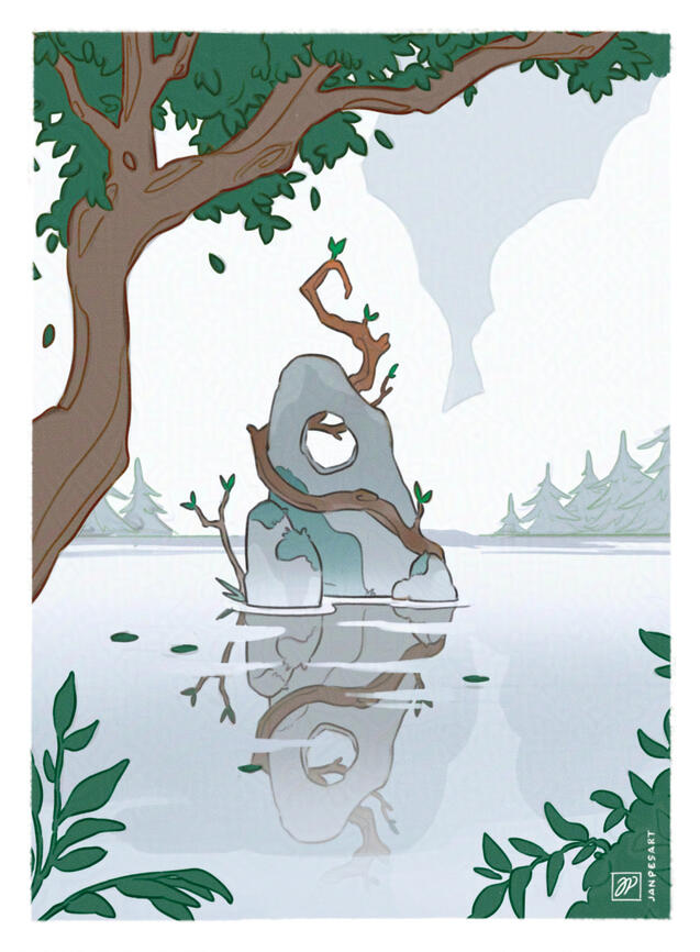 Stone entangled with small tree in the middle of a lake.